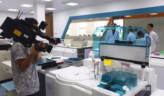 驚艷登場！泉州版迪士尼即將亮相，預計最快2019年開放，未來片區聚焦針紡織品銷售